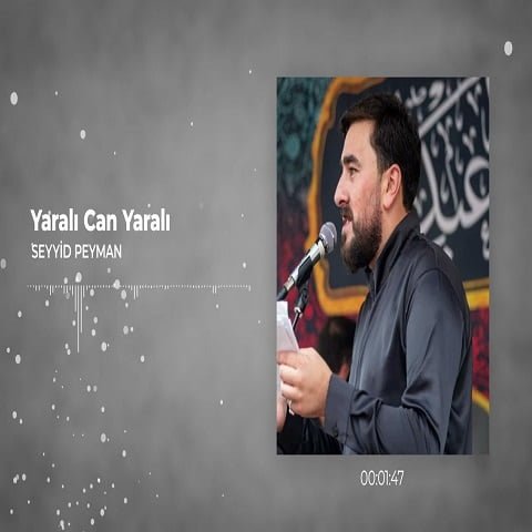 دانلود مداحی سید پیمان به نام یارالی جان یارالی